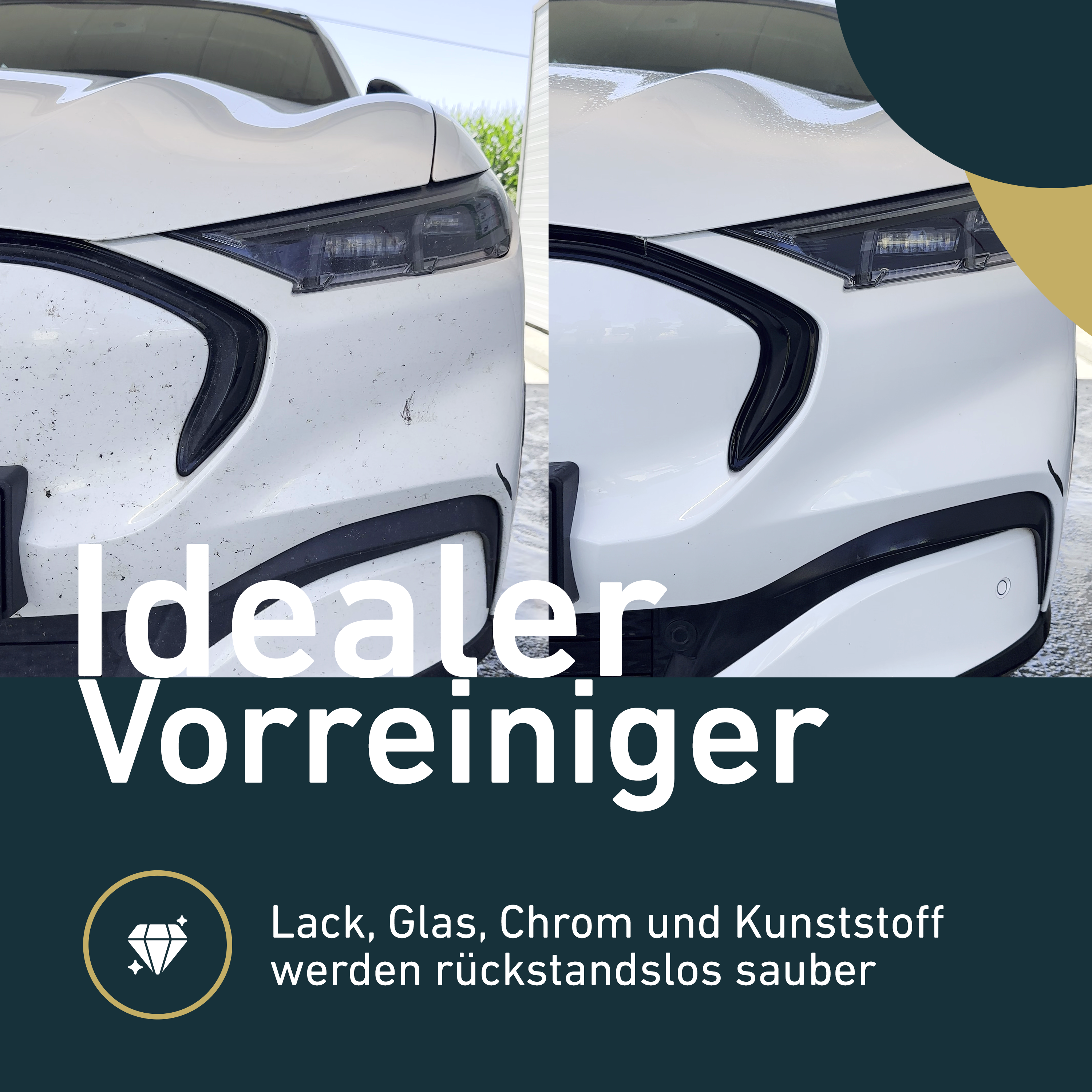 Insektenentferner
